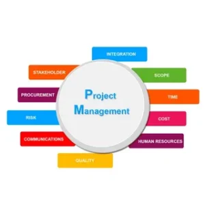Project management